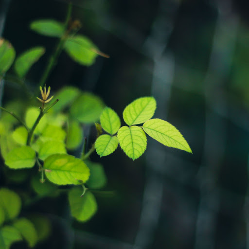 Hd-157445-ascw157445