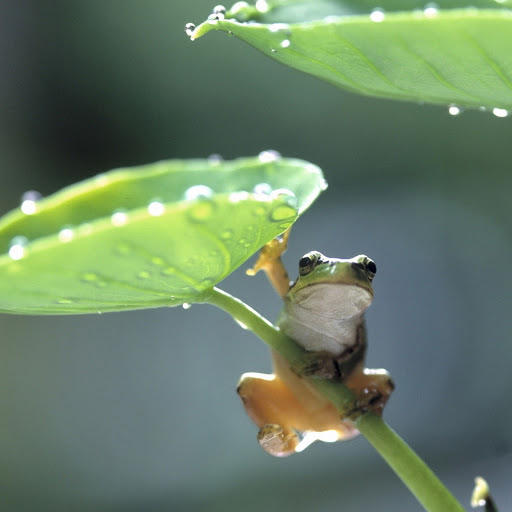 Hd-146072-ascw146072