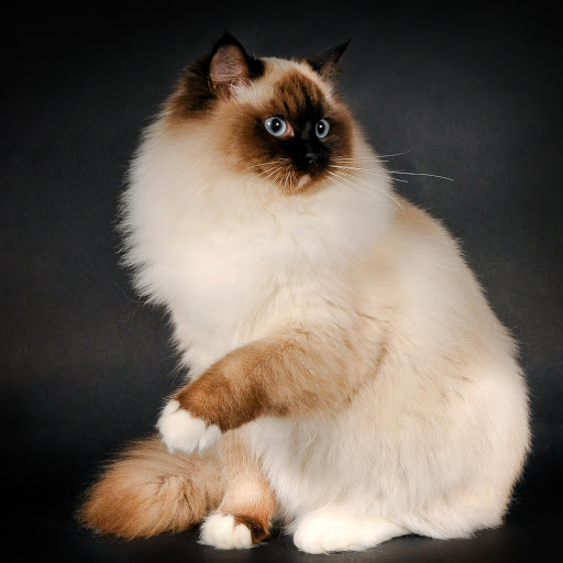 Hd-136151-ascw136151