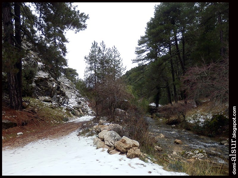 [PC2700634.jpg]