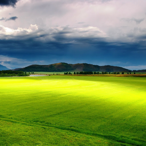 Hd-142181-ascw142181