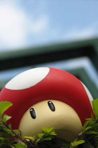 Mushroom-macro