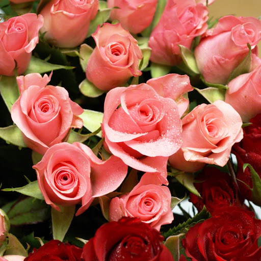 Hd-145956-ascw145956