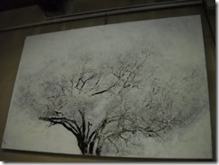 DSCN2149 DSCN2149
