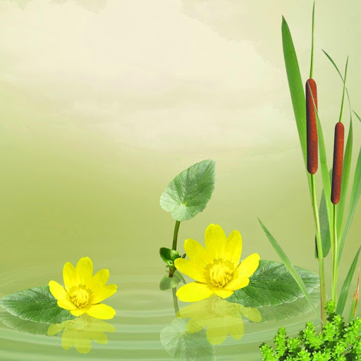 Hd-172037-ascw172037