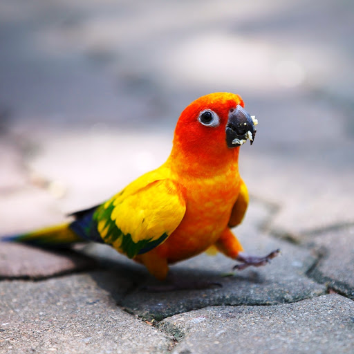 Hd-159962-ascw159962