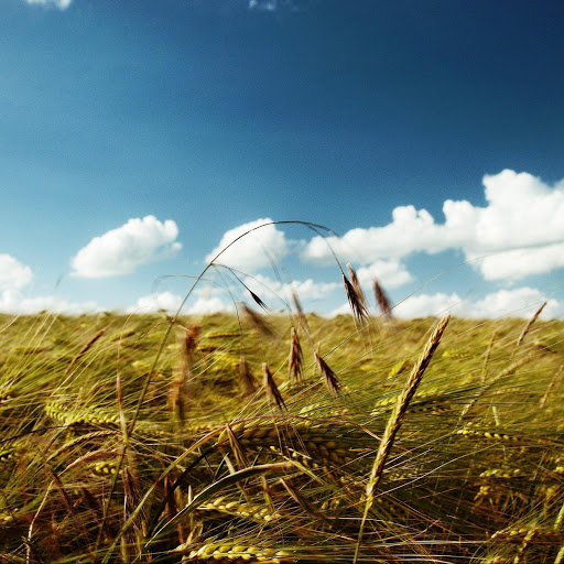 Hd-142039-ascw142039