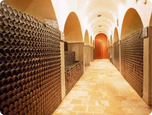 museo del vino cafayate