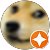 B Z B Z
