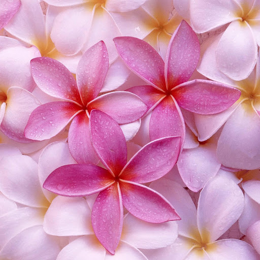 Hd-158998-ascw158998