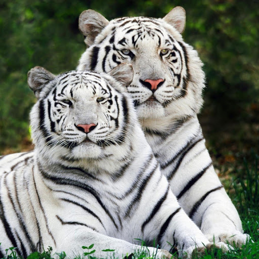 Hd-180346-ascw180346