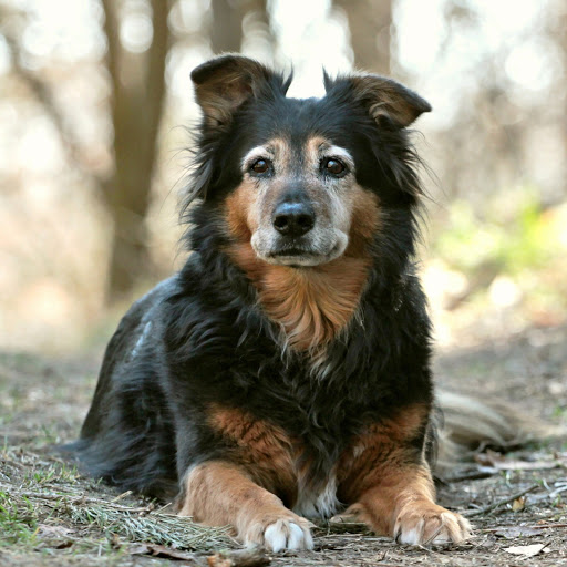 Hd-171654-ascw171654