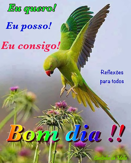 eu%2520quero.png