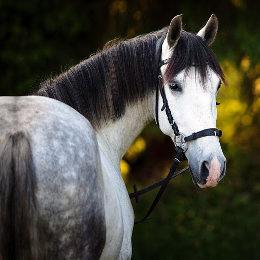 Hd-181781-ascw181781