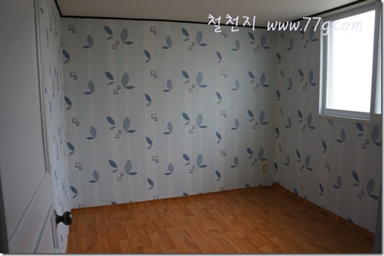 77gDSC04364-20121122-131725