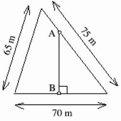 triangoli simili e aree