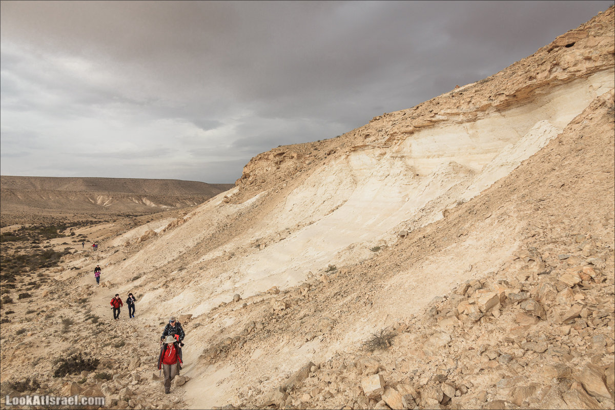 Лунные пейзажи пустыни Негев | Lunar landscapes of the Negev | LookAtIsrael.com - Фото путешествия по Израилю