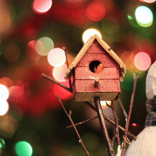 Hd-142952-ascw142952