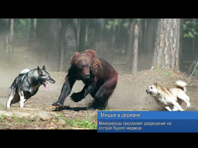 Мишки в деревне Мишки в деревне