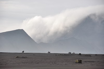 DSC_0568.jpg