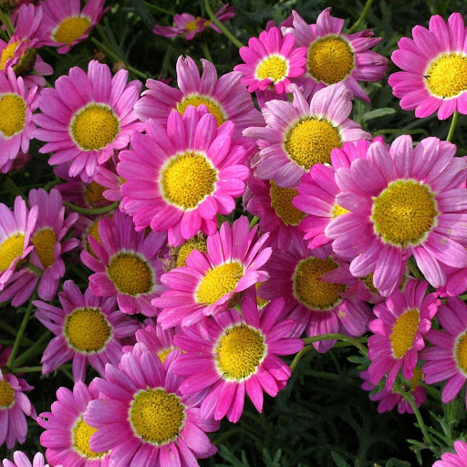 Hd-153361-ascw153361