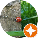 Image Google de stephanie cauta
