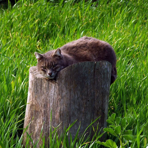 Hd-165592-ascw165592