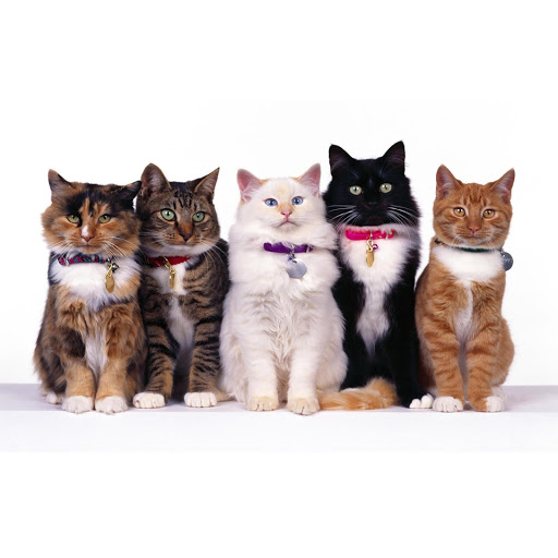 Hd-151220-ascw151220