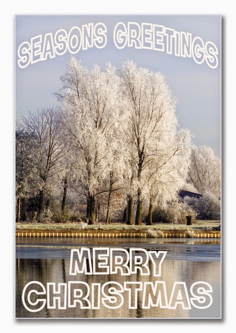 Christmas Card 2014  