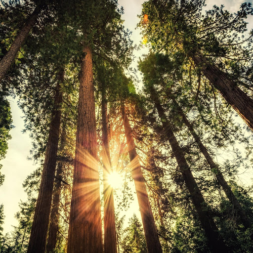 Hd-168074-ascw168074