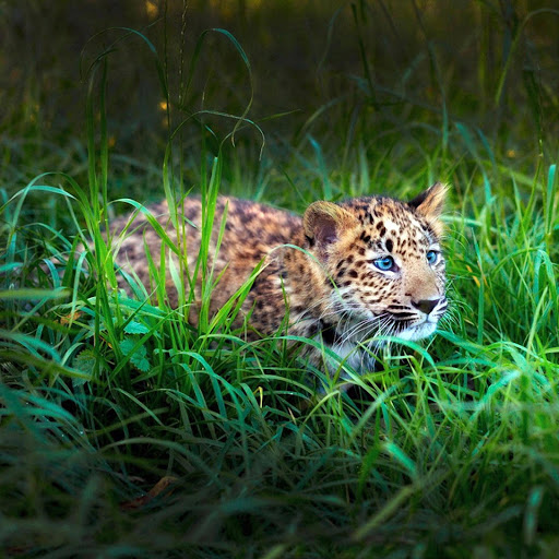 Hd-168787-ascw168787