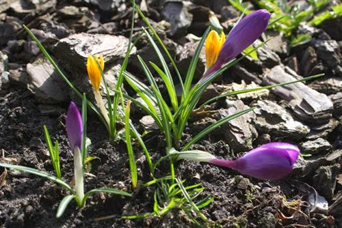 20090306 (1) (Small)