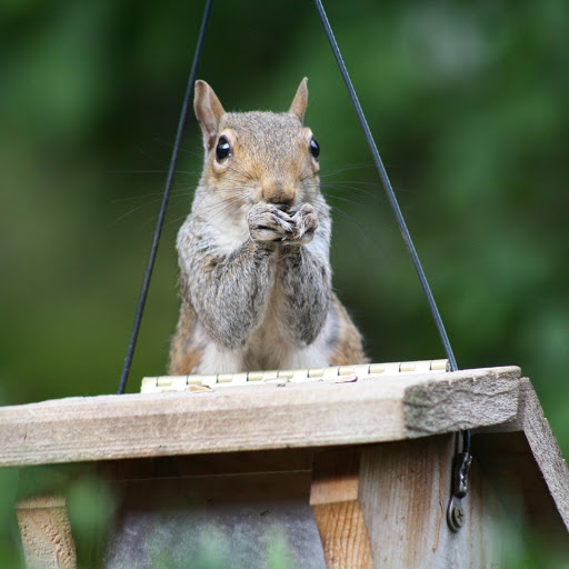 Hd-170601-ascw170601