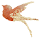causandoimagens0001.png