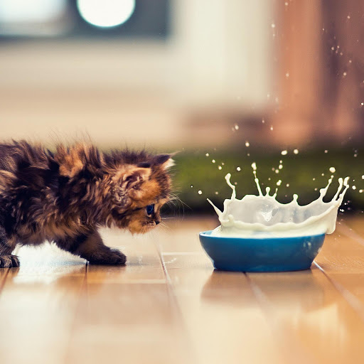 Hd-150615-ascw150615