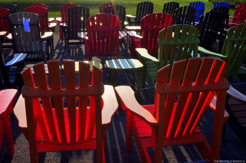 [DSC_0009%255B17%255D.jpg]