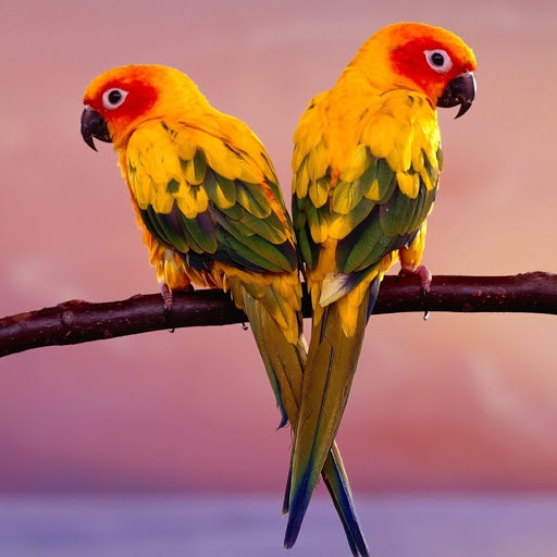 Hd-180605-ascw180605