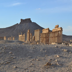 Ruinas de Palmira.
