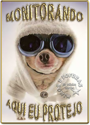 moniquinha.png