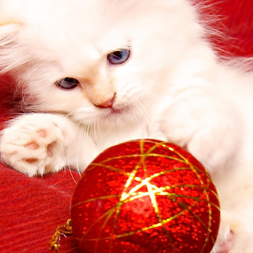 Hd-142839-ascw142839