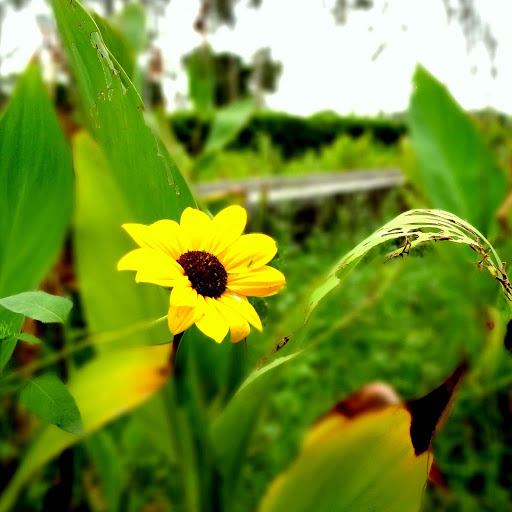 Hd-145018-ascw145018