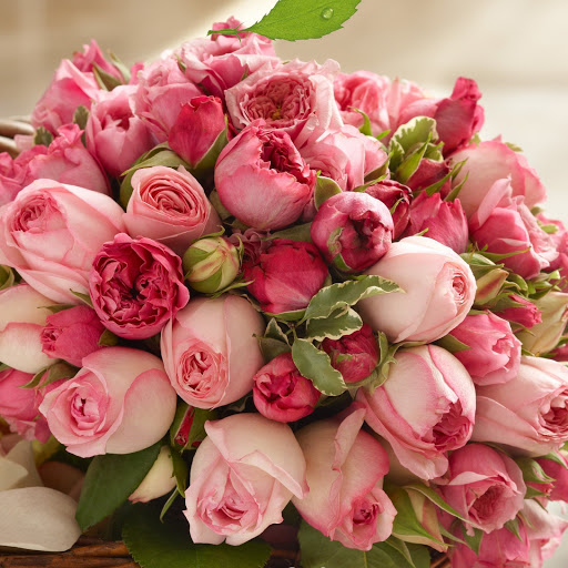 Hd-165181-ascw165181