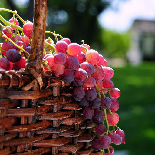 Hd-158802-ascw158802