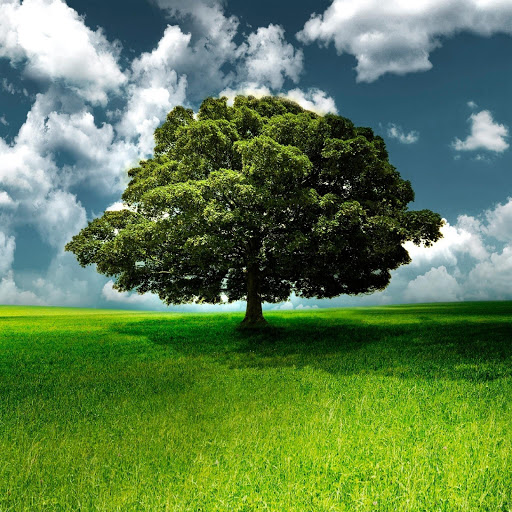 Hd-149867-ascw149867