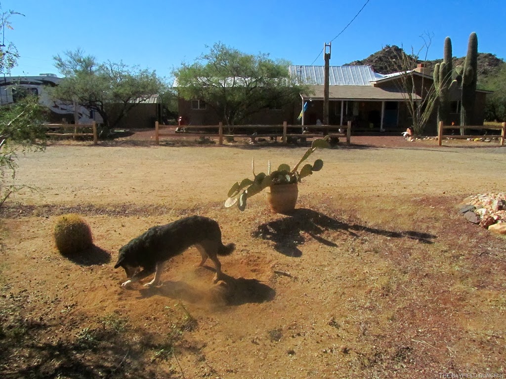 [IMG_0809%255B3%255D.jpg]