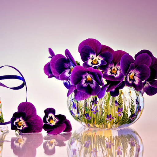 Hd-140493-ascw140493