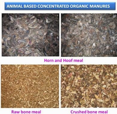 Advantages And Disadvantages Of Organic Manure