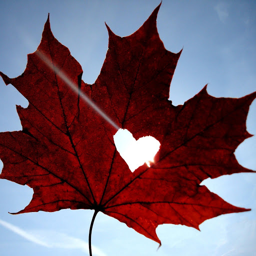 Hd-161190-ascw161190