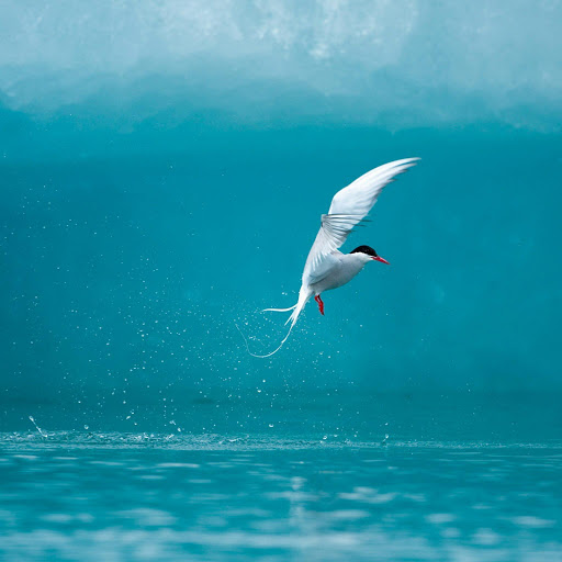 Hd-155087-ascw155087