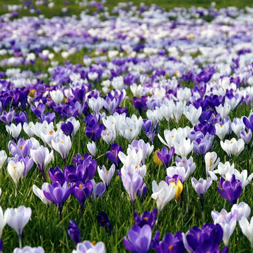 Hd-151972-ascw151972